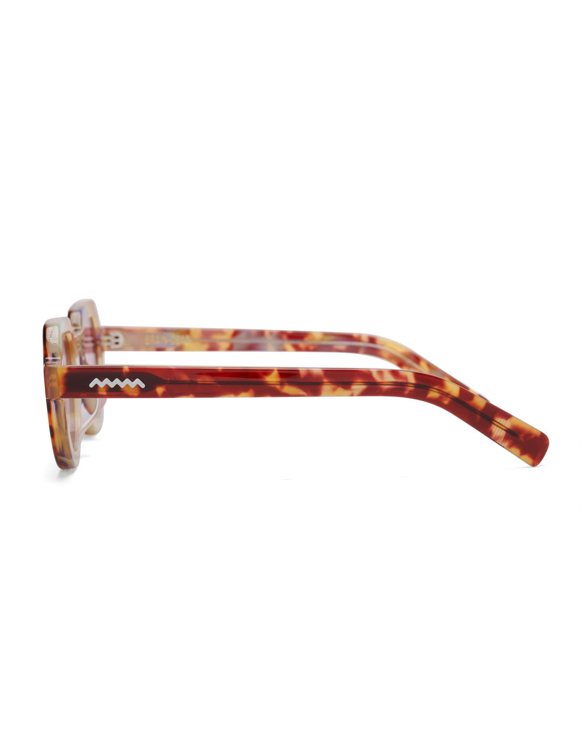 Tani Post Modern Primitive Eye Protection - Tortoise