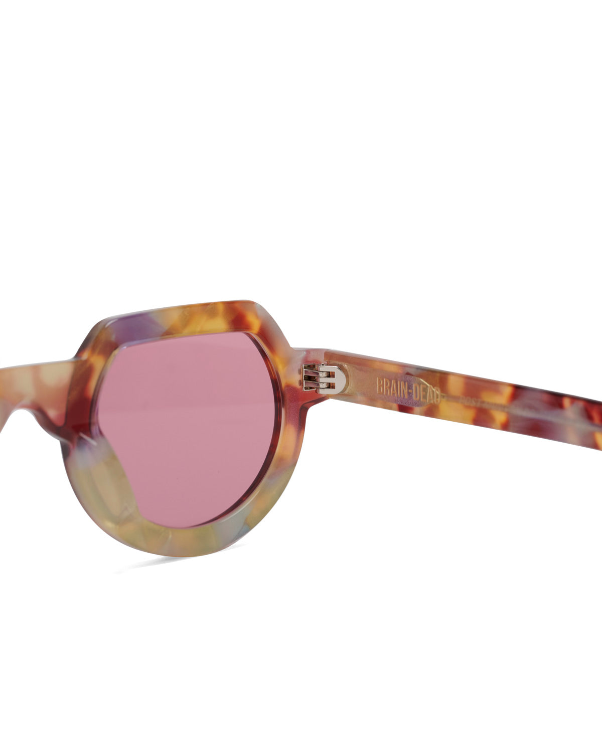 Tani Post Modern Primitive Eye Protection - Tortoise
